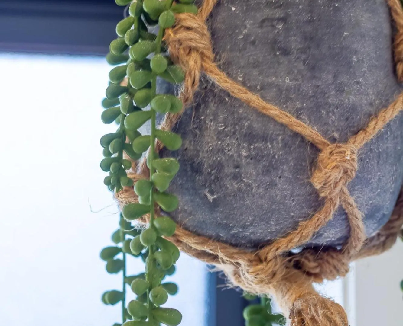 Studio Bliss: Explore From Wilmer St Christchurch